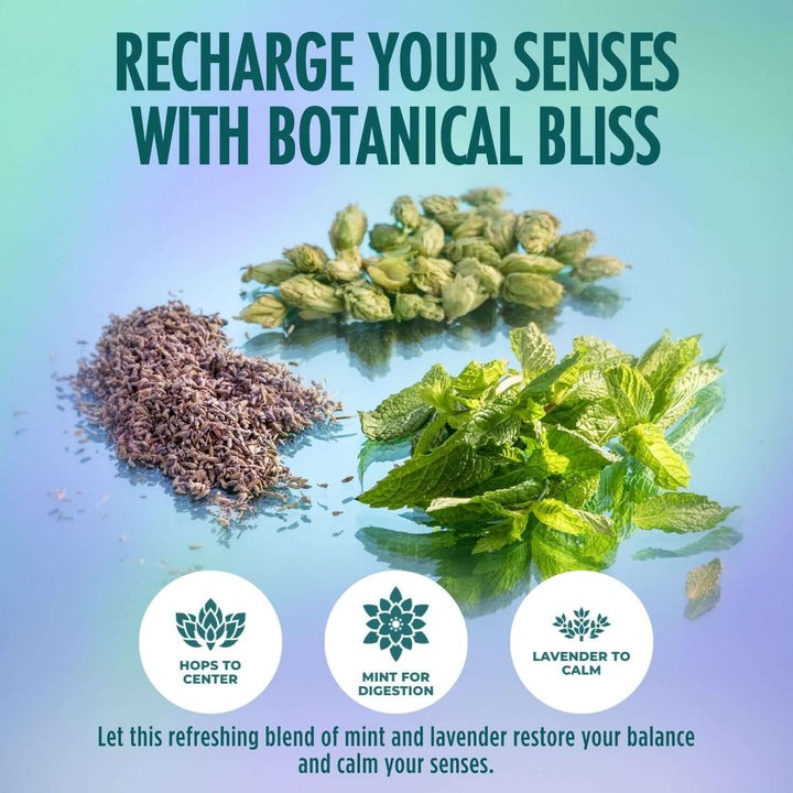 Sparkling Mint Lavender Tea - Unwind & Reset