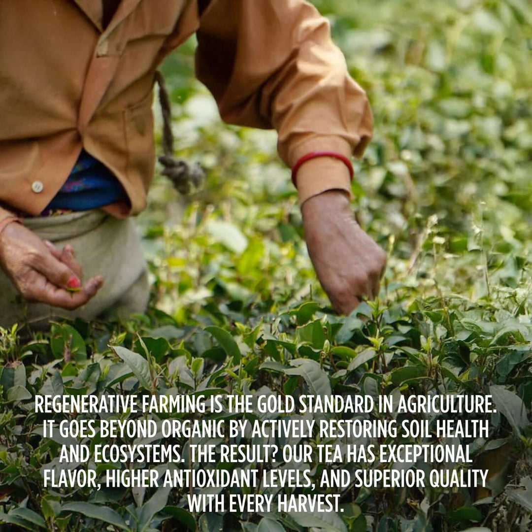 Sparkling Citrus Jasmine Tea - Focus & Mood