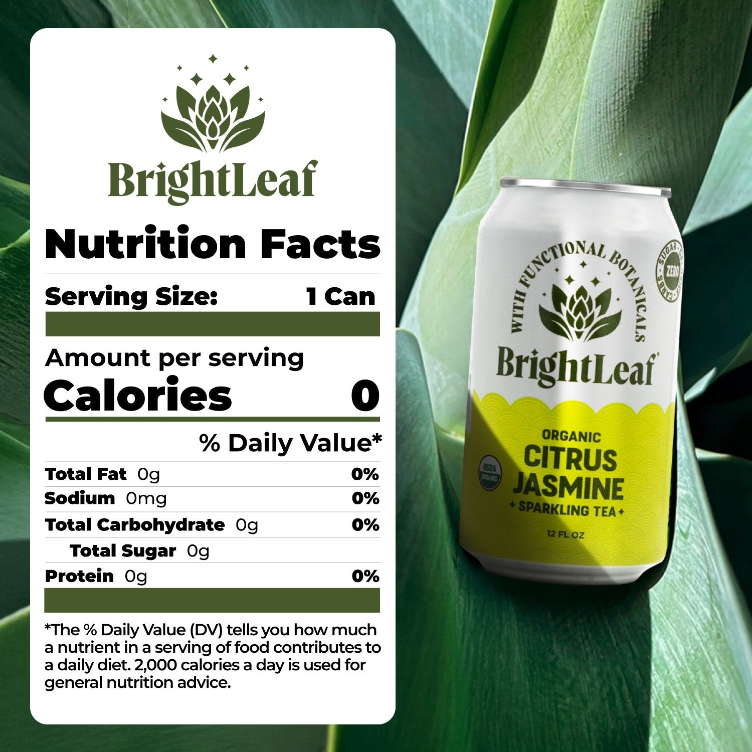 Sparkling Citrus Jasmine Tea – BrightLeaf Tea